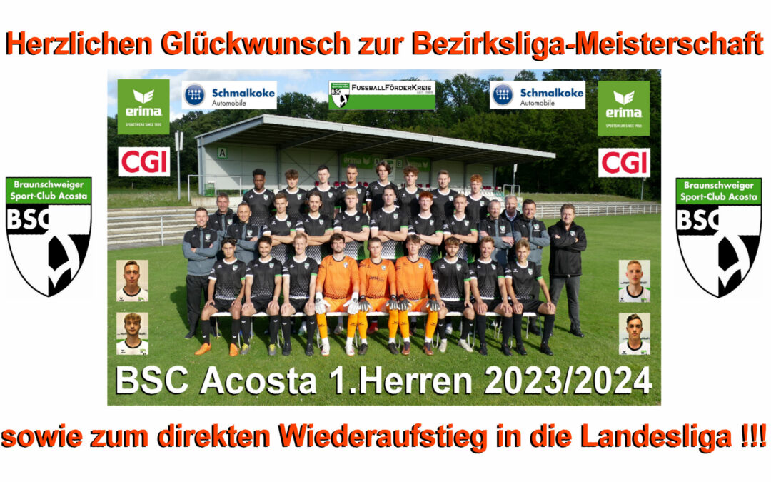 1.Herren ist Meister/Landesliga-Aufsteiger