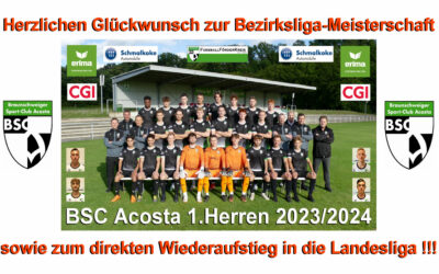 1.Herren ist Meister/Landesliga-Aufsteiger